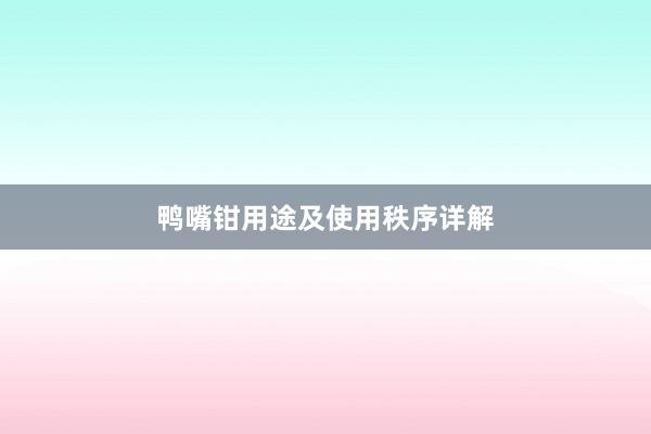 鸭嘴钳用途及使用秩序详解