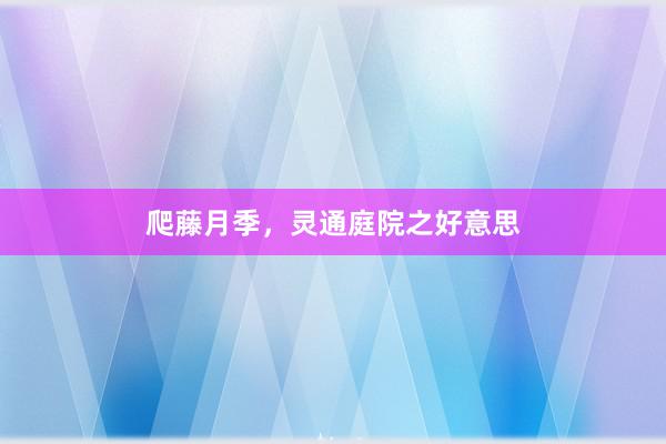 爬藤月季，灵通庭院之好意思