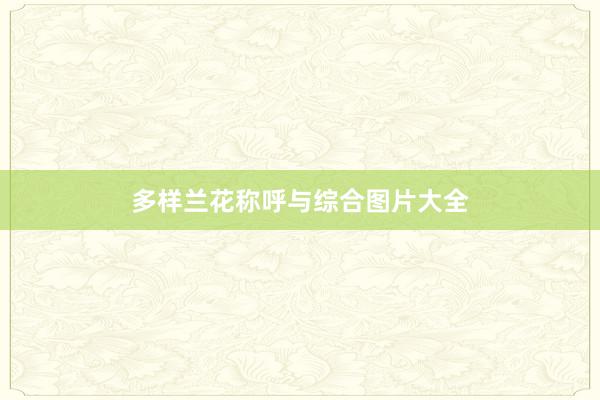 多样兰花称呼与综合图片大全
