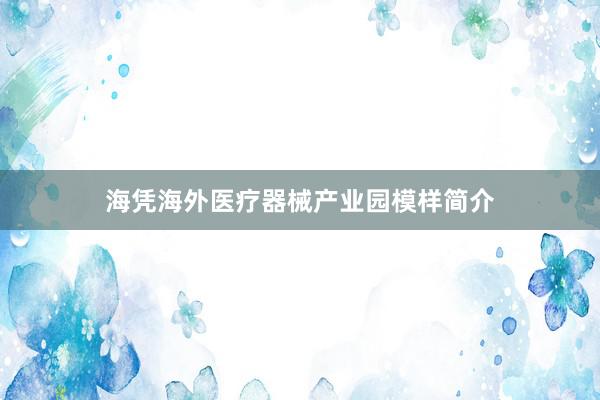 海凭海外医疗器械产业园模样简介