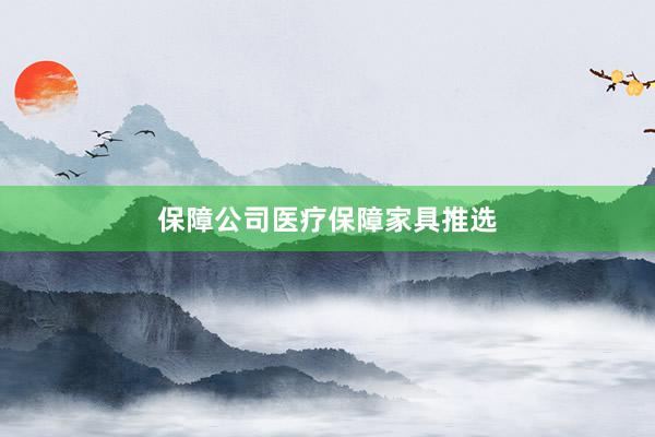 保障公司医疗保障家具推选