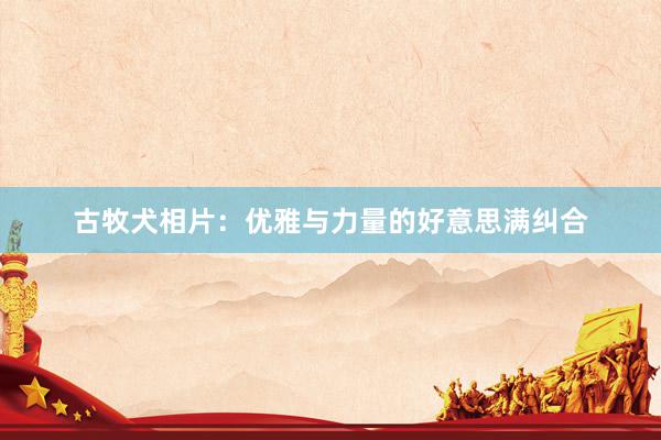古牧犬相片：优雅与力量的好意思满纠合