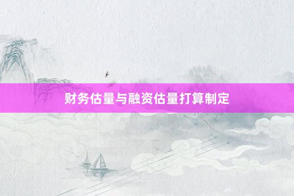 财务估量与融资估量打算制定