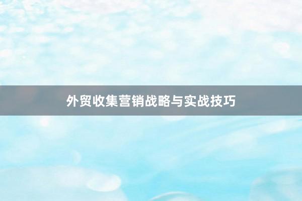 外贸收集营销战略与实战技巧